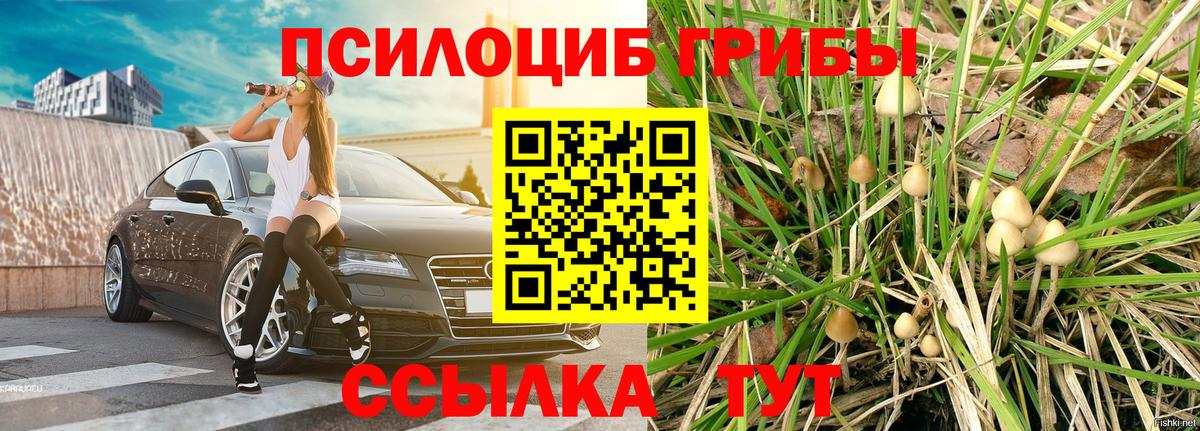 Псилоцибиновые грибы мухоморы  Псилоцибиновые грибы ЛСД  Вход с VPN  Железноводск 