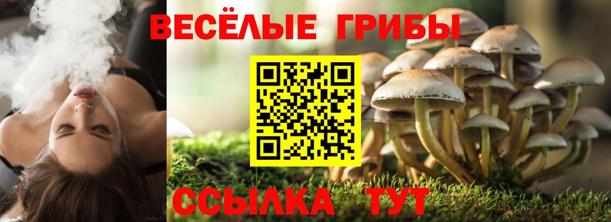 Галлюциногенные грибы мухоморы Железноводск